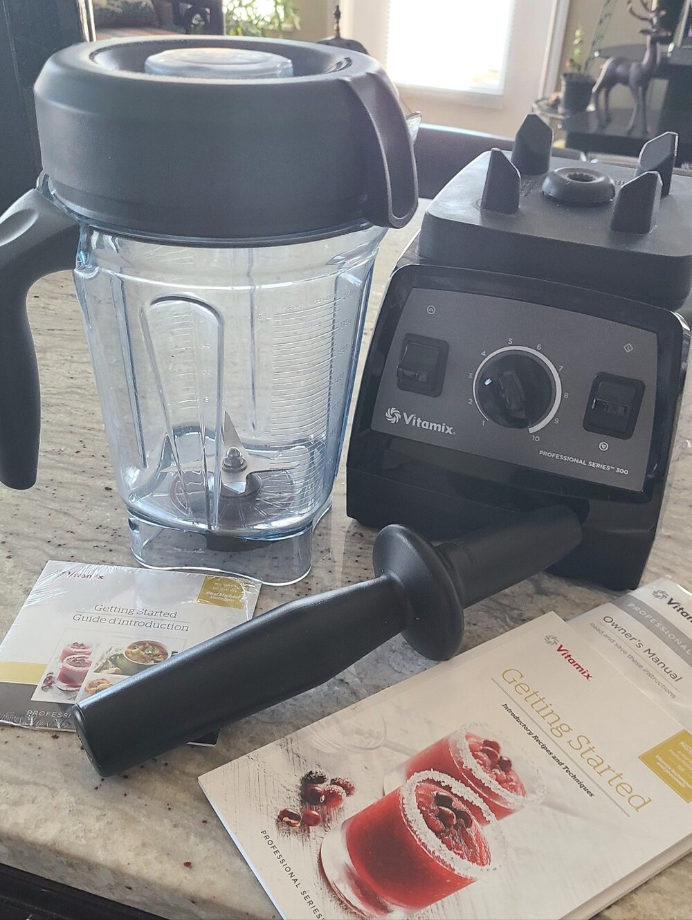 Vitamix Prof Series 300